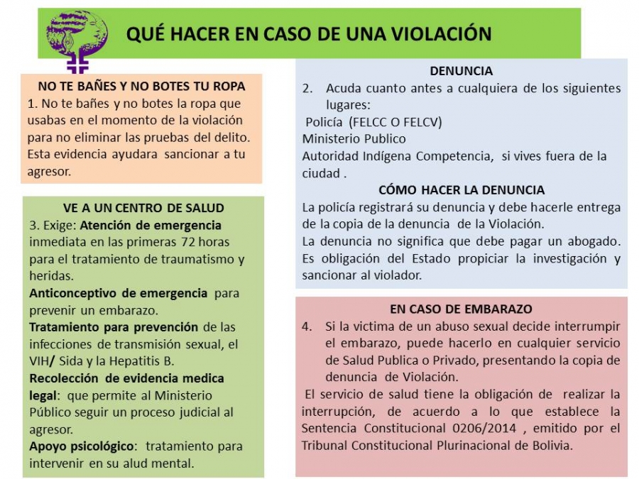 Embarazos no deseados en niñas, adolescentes, jóvenes y mujeres: Tres causales de interrupción Legal del embarazo den Bolivia.